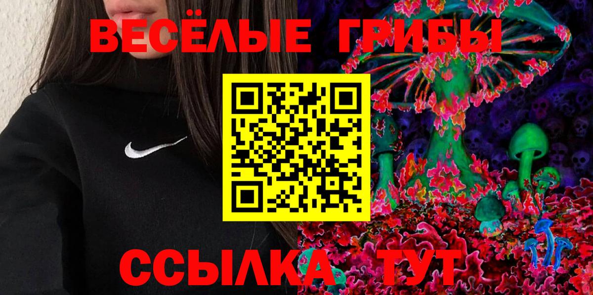 Галлюциногенные грибы Psilocybine cubensis Сатка